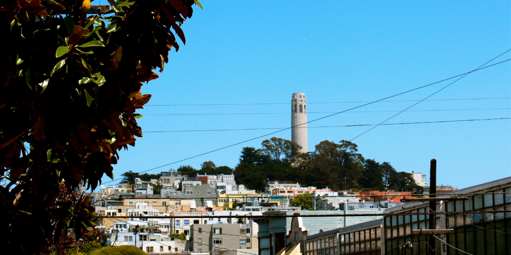 23 things to do in San Francisco on a budget