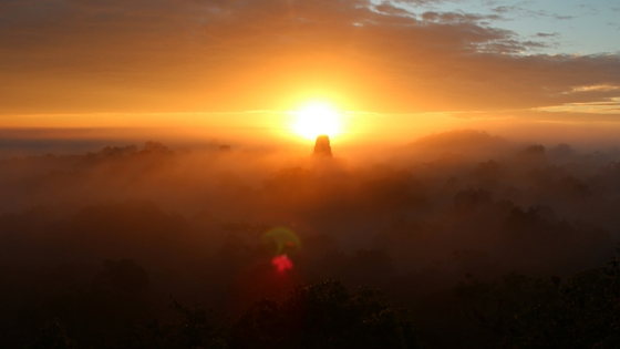 Sunrise is definitely my favourite way to see Tikal the ancient Mayan Ruin - can't recommend it enough