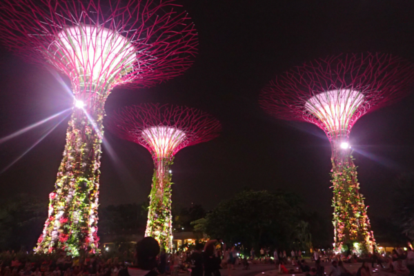 12 Cheap and Easy Things to do in Singapore 3