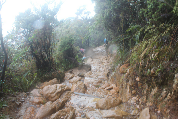 Follow my top tips and you will have an awesome time. When you get back from your Mt Kinabalu hike, I would love to hear what your tips!