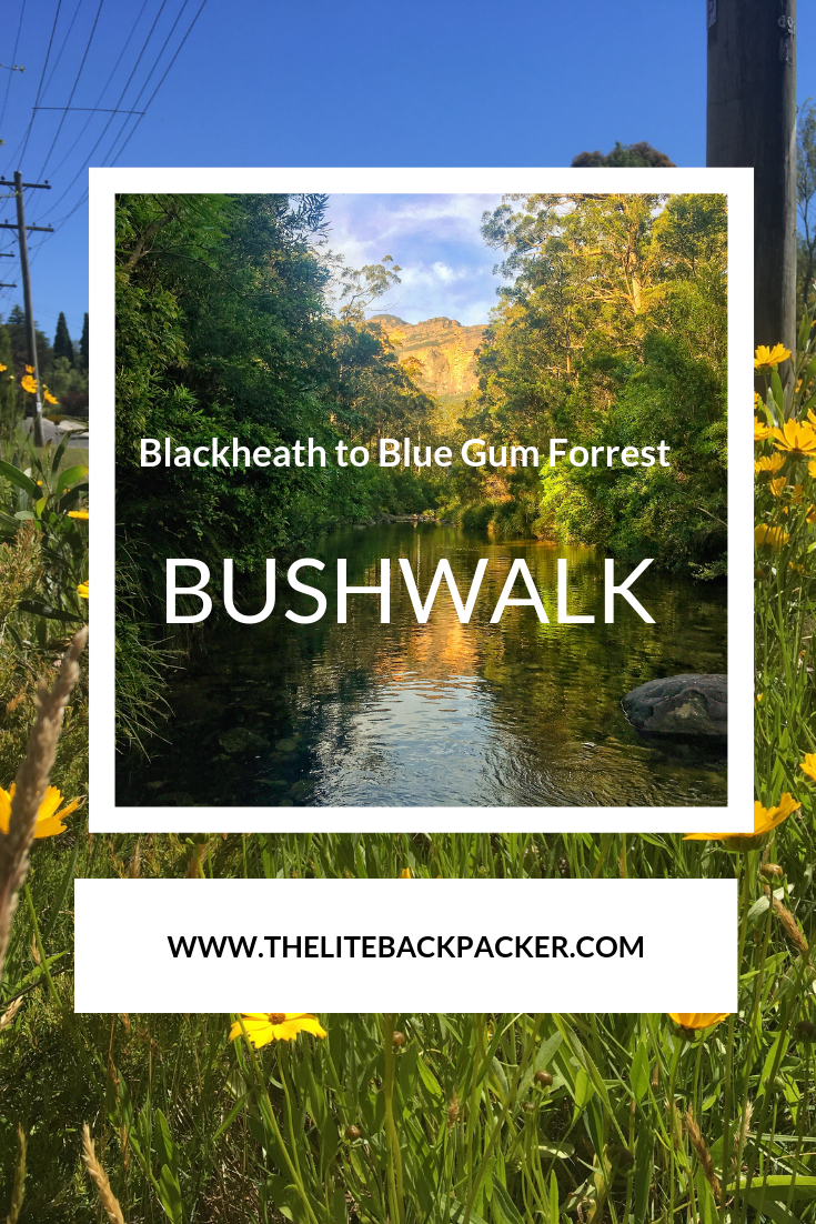 Blackheath to Blue Gum Loop Bushwalk – A Sydney Escape