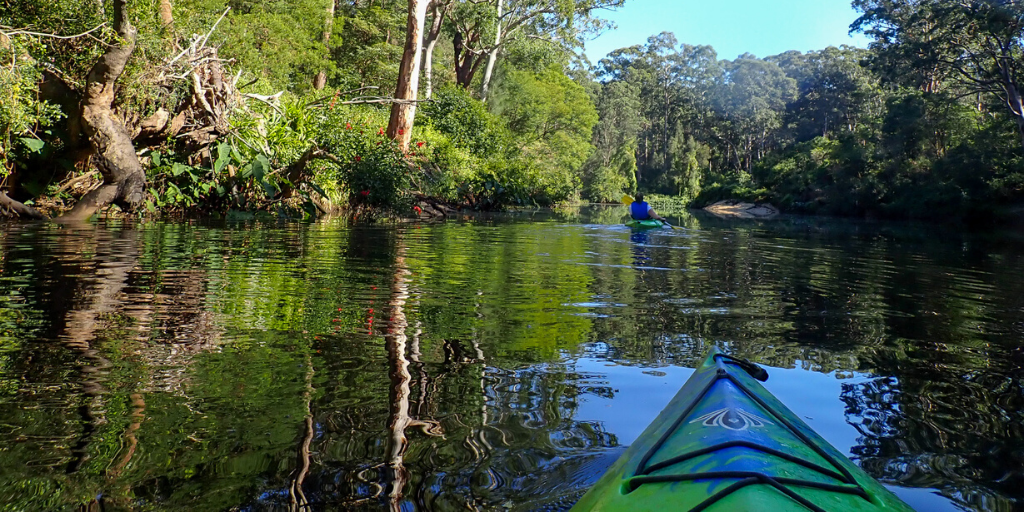 Kayaking through Lane Cove National Park in Sydney