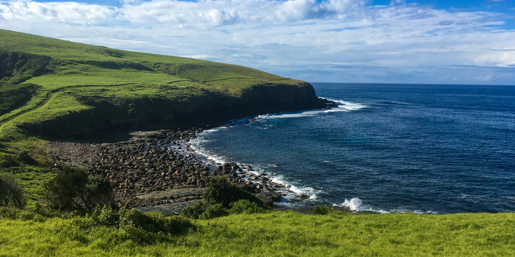 Whale Watching While Hiking from Kiama to Gerringong