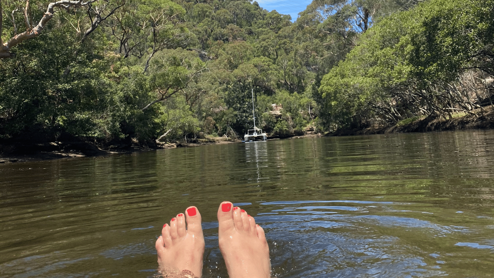 Wild Swimming and Bushwalking at Middle Harbour Creek