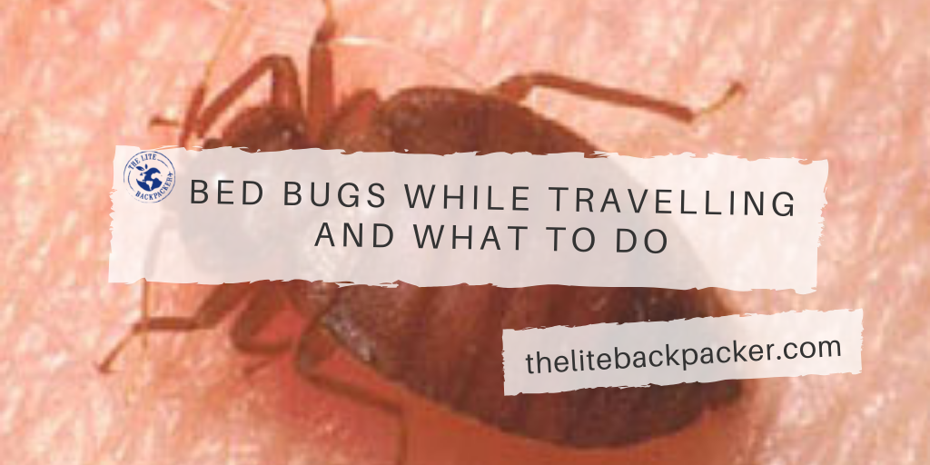 Bed Bugs and what to do The Lite Backpacker