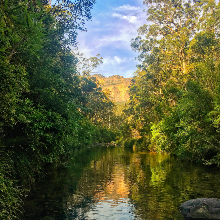 Blackheath to Blue Gum Loop Bushwalk – A Sydney Escape. All you need to know to do this enjoy this hike on www.thelitebackpacker.com