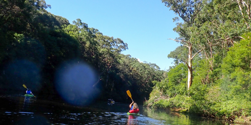 Kayaking through Lane Cove National Park in Sydney