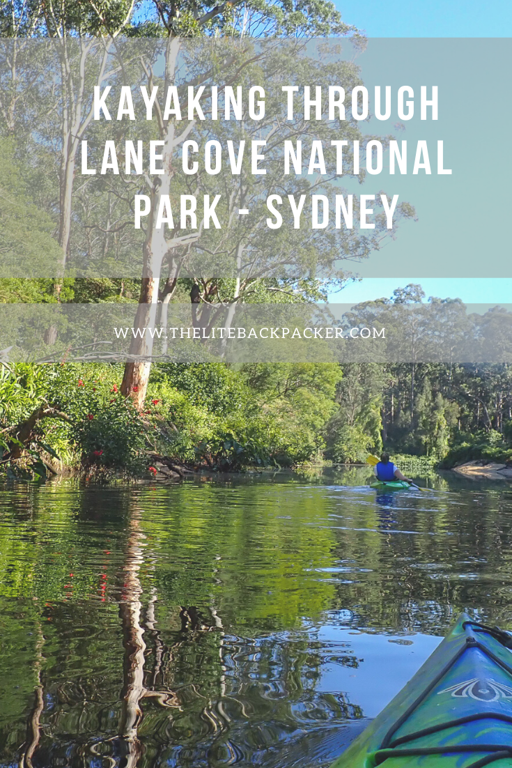 Kayaking through Lane Cove National Park in Sydney