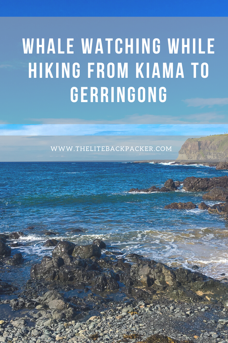 Whale Watching While Hiking from Kiama to Gerringong