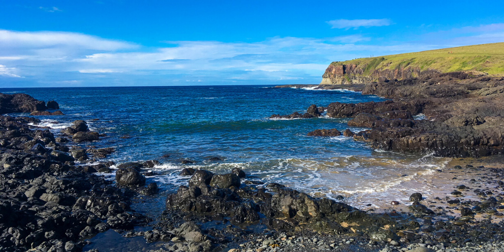 Whale Watching While Hiking from Kiama to Gerringong